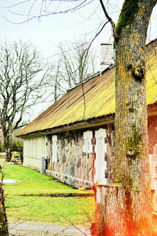 Koguva Vanatoa Taluhotell المظهر الخارجي الصورة