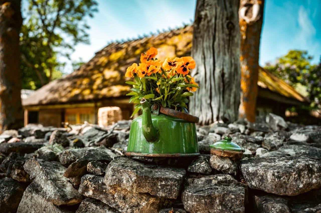 Koguva Vanatoa Taluhotell المظهر الخارجي الصورة
